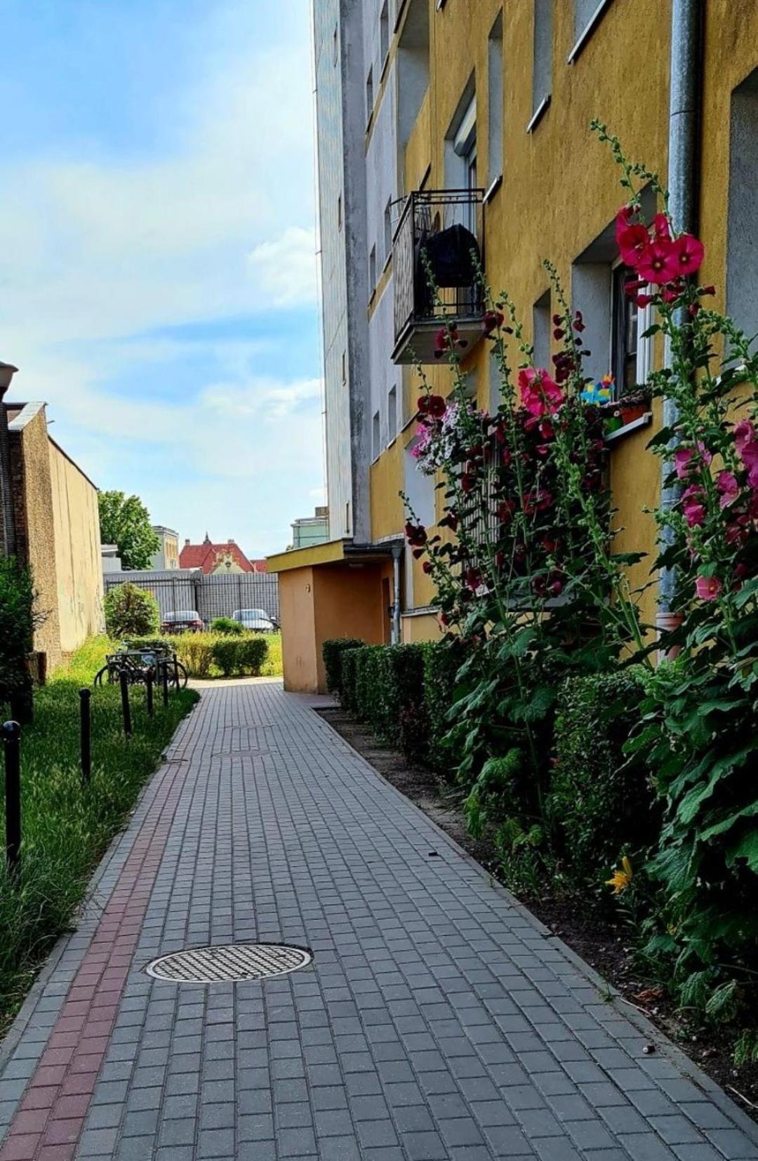 Apartament Przy Alei Kopernika Inowrocław Eksteriør billede